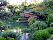072  Sorakuen Garden.JPG